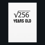 Square Root of 256 16 Ys years old 16th födelsedag Kort<br><div class="desc">Fullt Funny T Shirt</div>