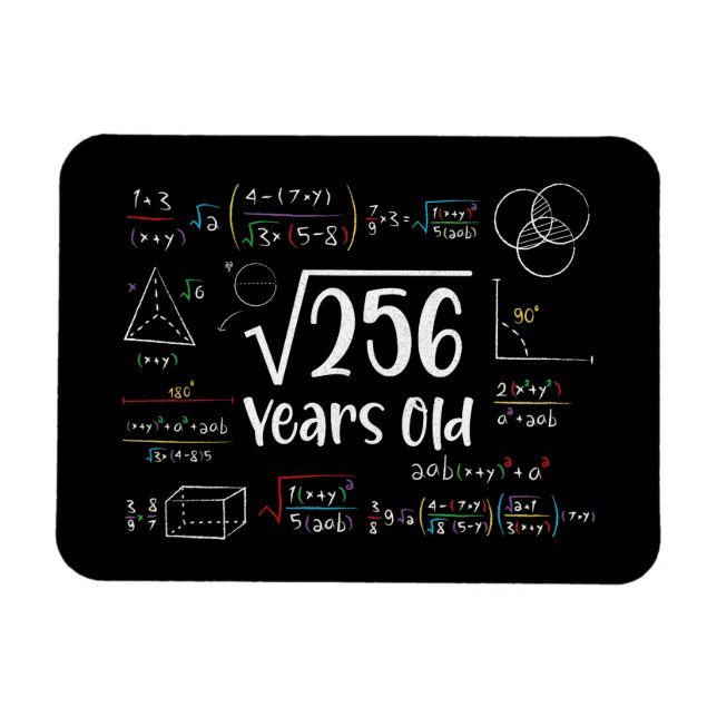 Square Root of 256 16th Birthday 16 Year Old Gifts Magnet (Horisontell)
