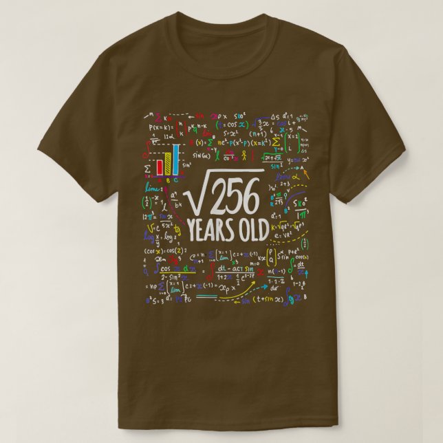 Square Root of 256 16th Birthday 16 Years Old Math T Shirt (Design framsida)