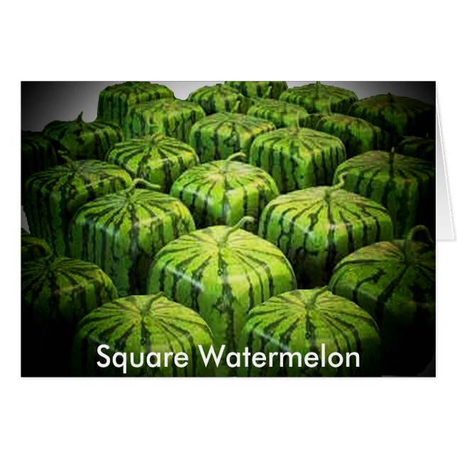 Square Watermelon Hälsningskort (Framsidan Horizontal)