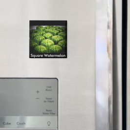 Square Watermelon Magnet
