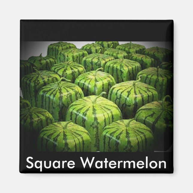 Square Watermelon Magnet (Framsidan)