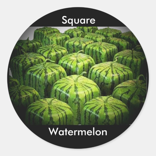 Square Watermelon Runt Klistermärke (Framsida)