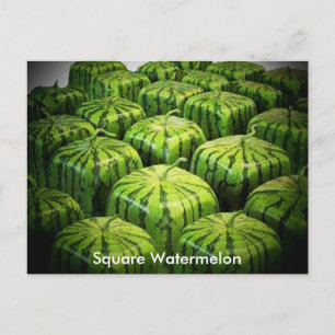 Square Watermelon Vykort