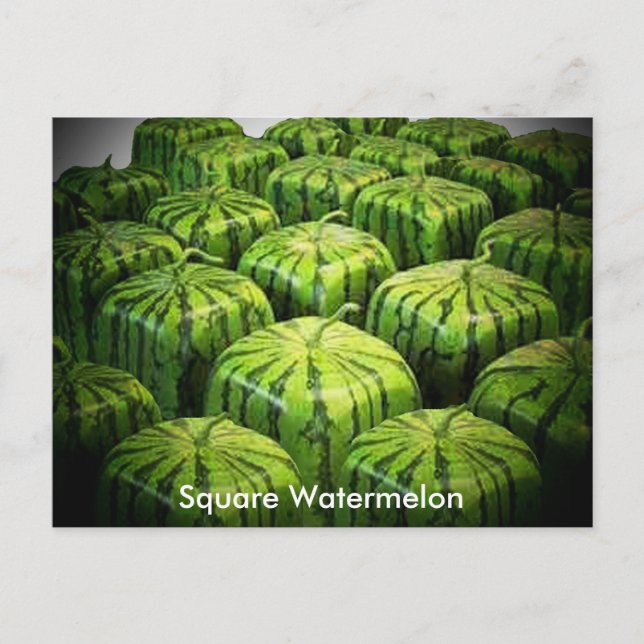 Square Watermelon Vykort (Framsida)