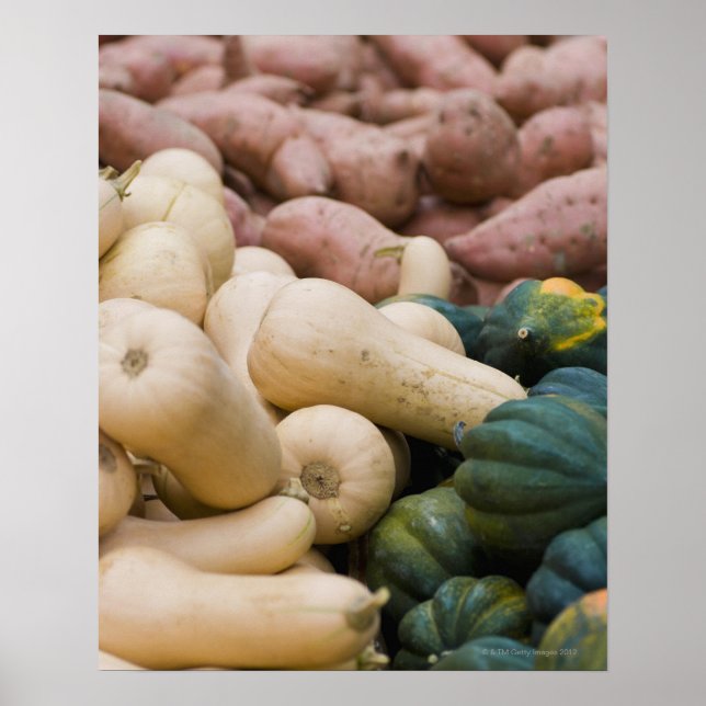 Squash and sweet potatoes poster (Framsidan)