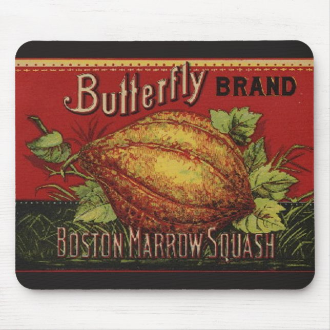 Squash Antique Vegetable Label Can Musmatta (Framsidan)