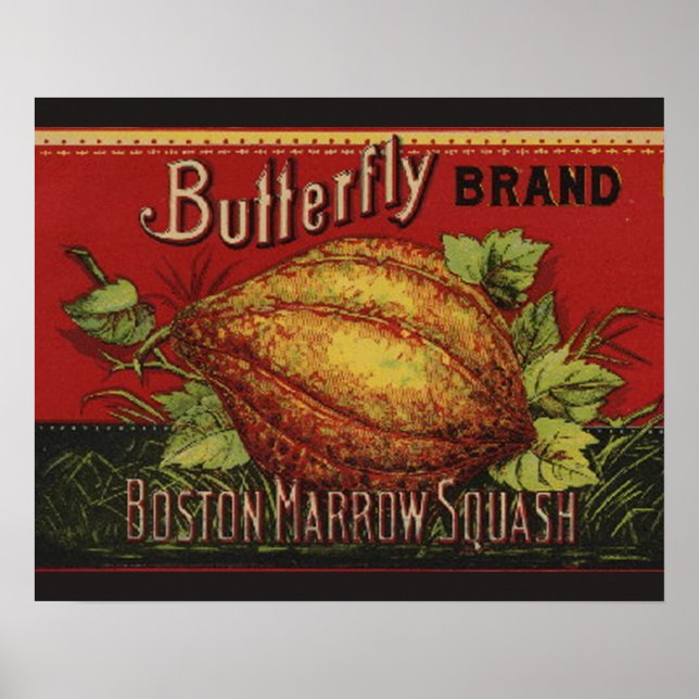 Squash Antique Vegetable Label Can Poster (Framsidan)