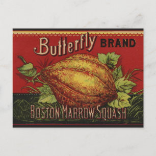 Squash Antique Vegetable Label Can Vykort