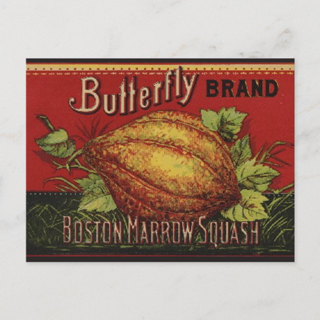 Squash Antique Vegetable Label Can Vykort (Framsida)