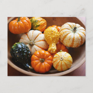 Squash Bowl Vykort