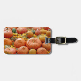 Squash Galore Bagagebricka