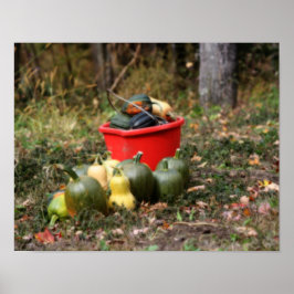 Squash Land Garden Harvest Orton Poster