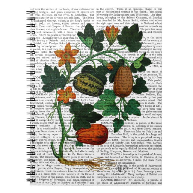 Squash Vine 1 Anteckningsbok (Framsidan)