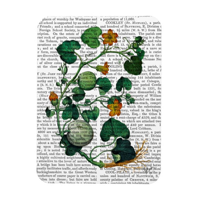Squash Vine 2 Magnet (Vertikal)