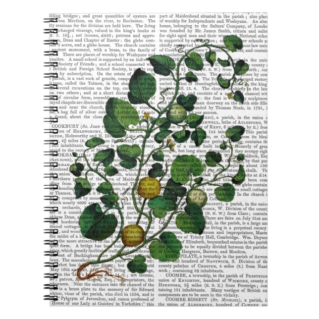 Squash Vine 4 Anteckningsbok Med Spiral (Framsidan)