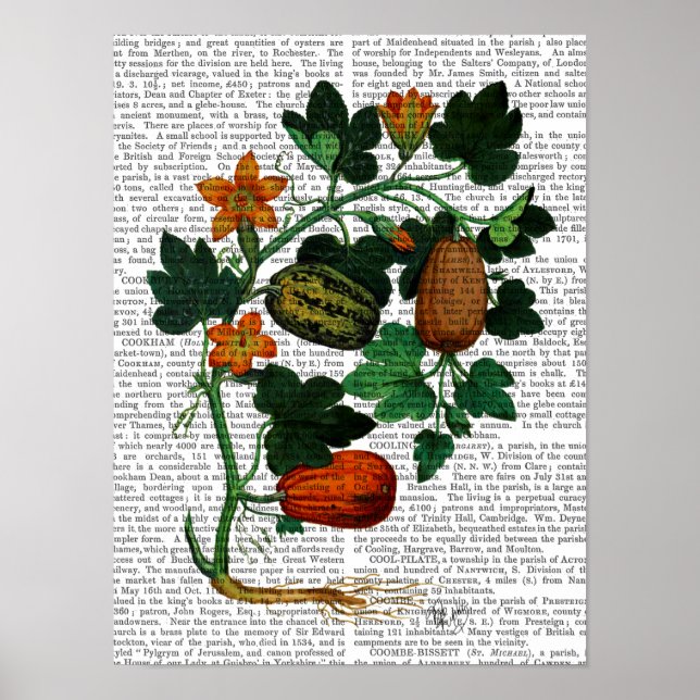 Squash Vine Poster (Framsidan)
