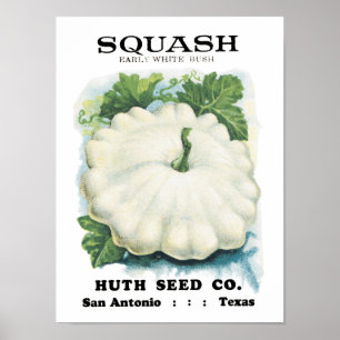 Squashvintage kärnar ur paketet poster