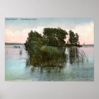 Squaw Island, Canandaigua Sjö, NY Vintage Poster