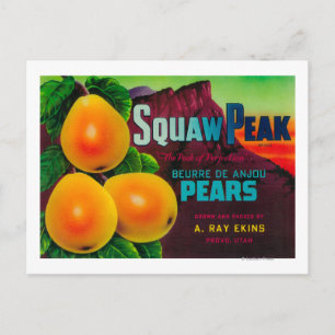 Squaw Peak Pear Låda LabelProvo, UT Vykort