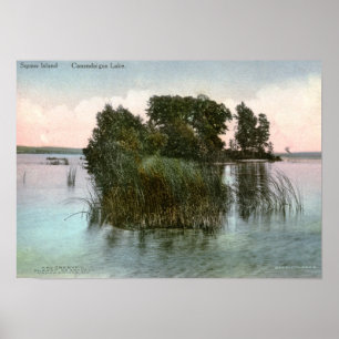 Squawö, Canandaigua sjö, NY-vintage Poster
