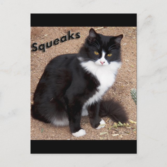 Squeaks Vykort (Framsida)