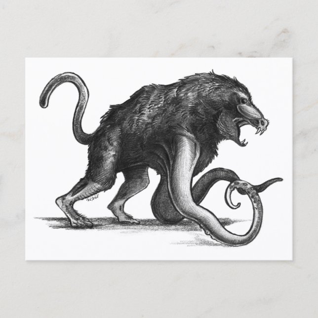 Squiboon - vykort (Framsida)