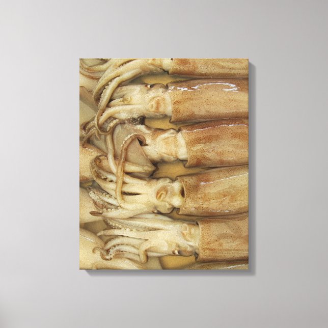 Squid - Calamari Canvastryck (Framsida)