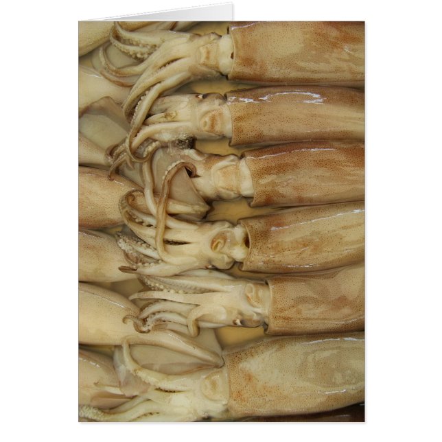 Squid - Calamari Card Hälsningskort (Framsidan)