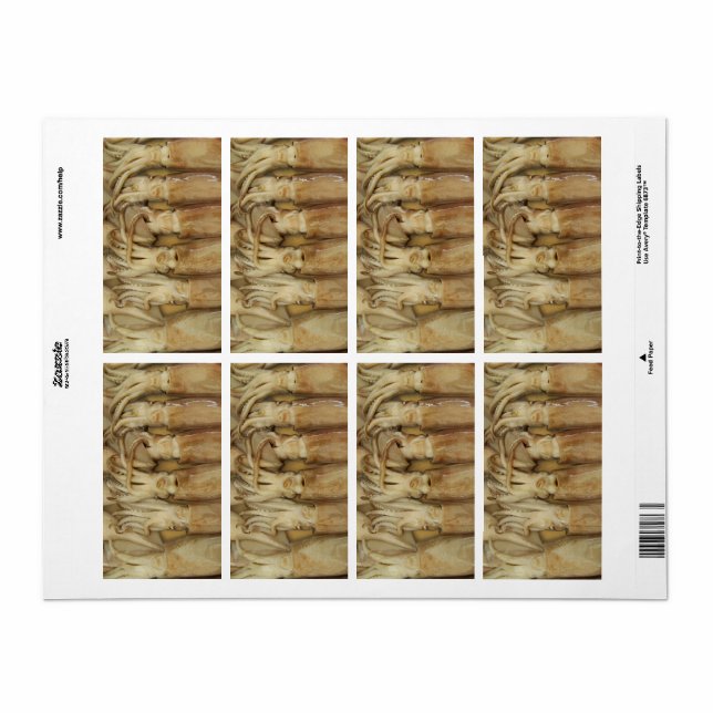 Squid - Calamari Fraktsedel (Helt Ark)