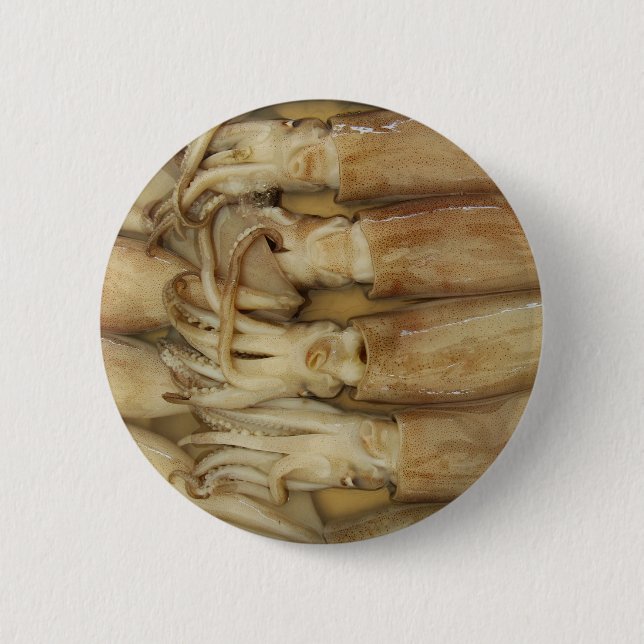 Squid - Calamari Knapp (Framsida)