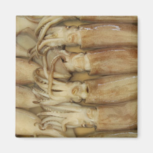 Squid - Calamari Magnet