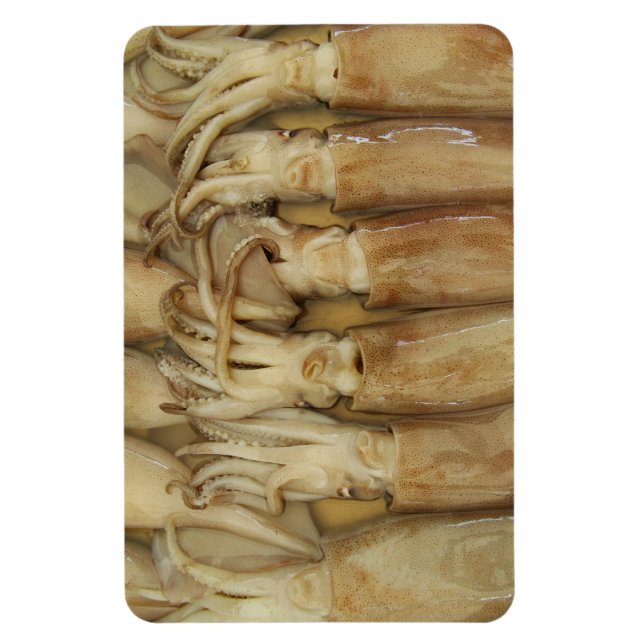 Squid - Calamari Magnet (Vertikal)