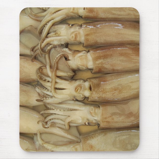 Squid - Calamari Musmatta (Framsidan)