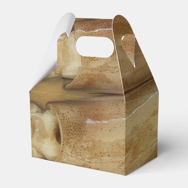 Squid - Calamari Presentaskar (Framsidan Sidan)