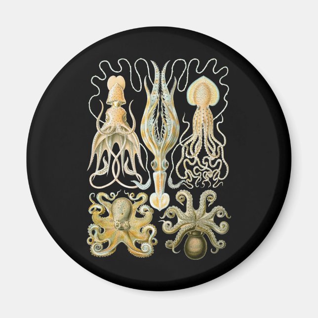 Squid & Octopus Magnet (Framsidan)