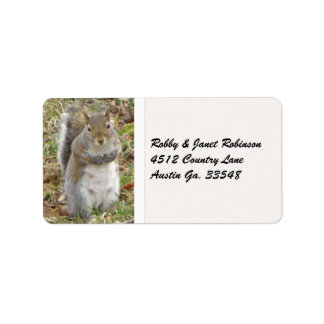 Squirrel Adress Stickers Adressetikett