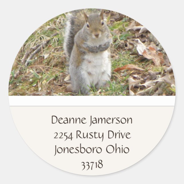 Squirrel Adress Stickers Runt Klistermärke (Framsida)