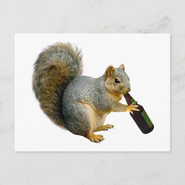 Squirrel Beer-vykort Vykort (Framsida)