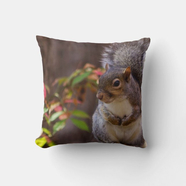 Squirrel Beges Kudde (Framsida)