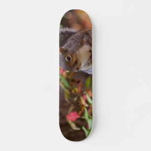 Squirrel Beges Old School Skateboard Bräda 18 Cm