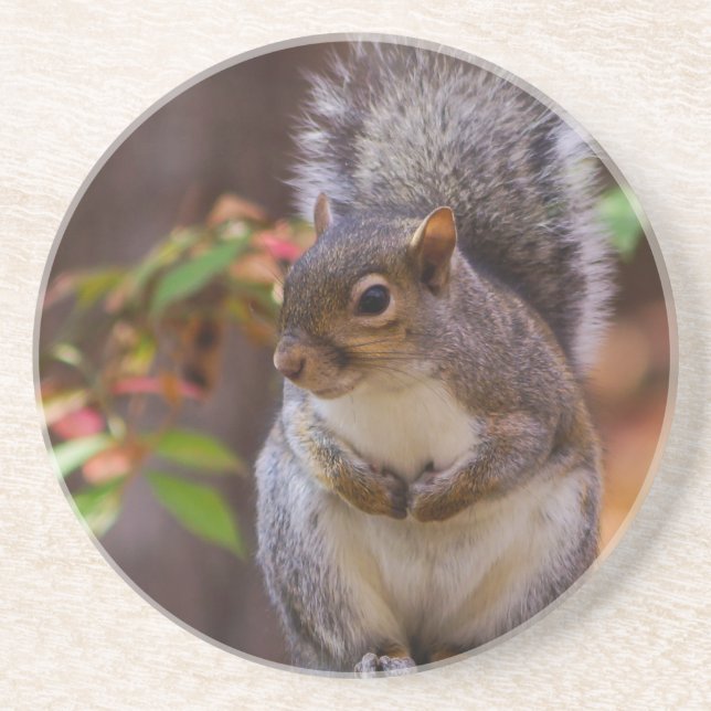 Squirrel Beges Underlägg Sandsten (Framsidan)