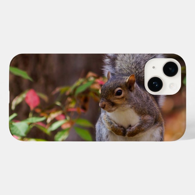 Squirrel Begs iphone case (Baksida (horisontell))