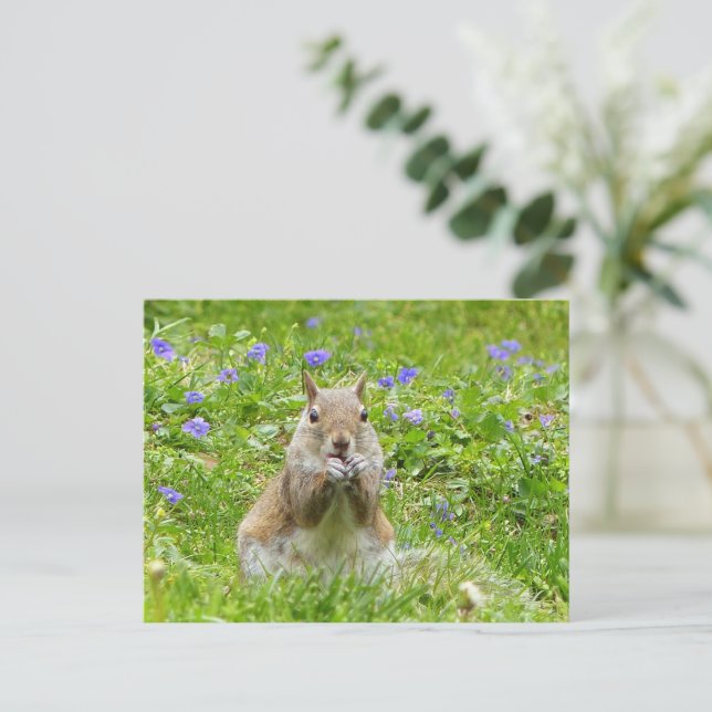 Squirrel bland Vild Violets Vykort (Stående Fram)