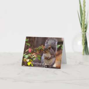 Squirrel börjar tänka på dig kort