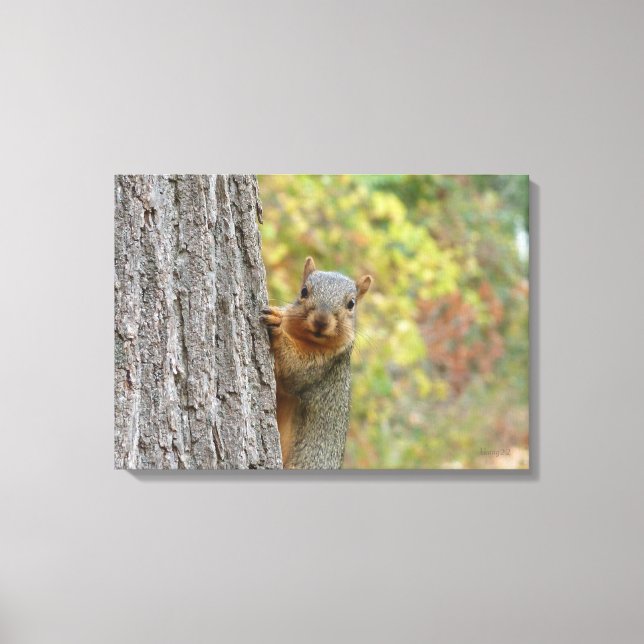 Squirrel canvas (Framsida)