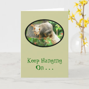 Squirrel Clinging to Birdfeeder, Behålla Hanging O Kort