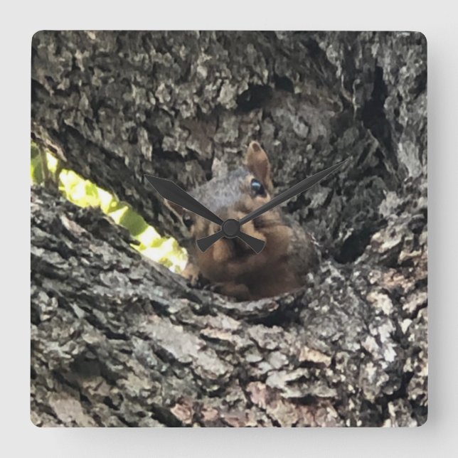 Squirrel Clock Fyrkantig Klocka (Framsida)