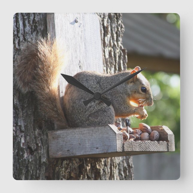 Squirrel Clock Fyrkantig Klocka (Framsida)
