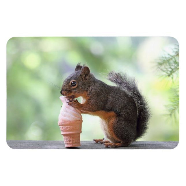 Squirrel Eating an Ice Cream Cone Magnet (Horisontell)